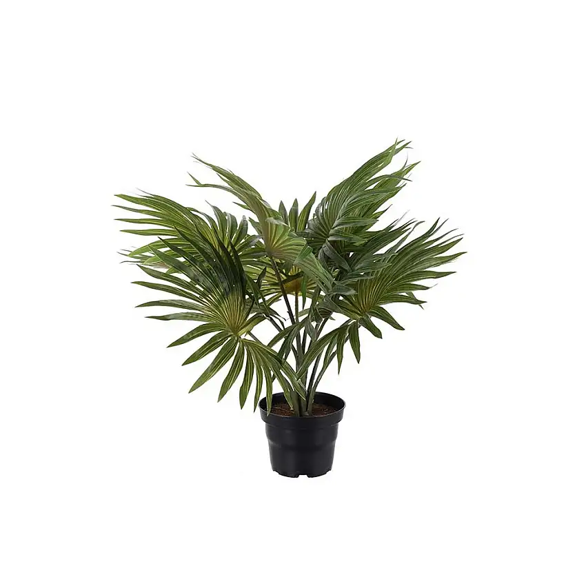 Konstväxt Fröken FräkenPalm Grön Flikig