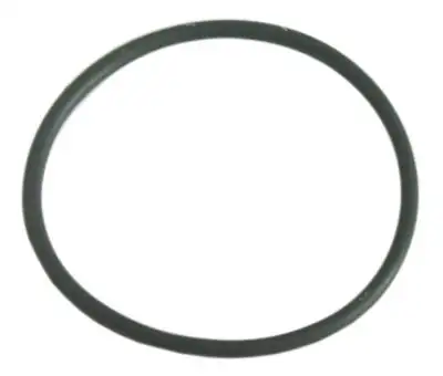 O-ring Viton Materialtjocklek 262mm ID ø 473mm