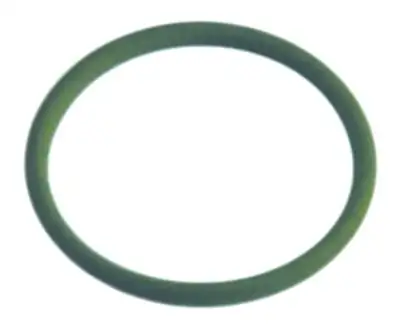 O-ring Viton Materialtjocklek 262mm ID ø 3142mm