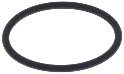 O-ring Viton Materialtjocklek 353mm ID ø 492mm