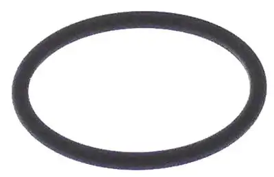O-ring Viton Materialtjocklek 262mm ID ø 2825mm