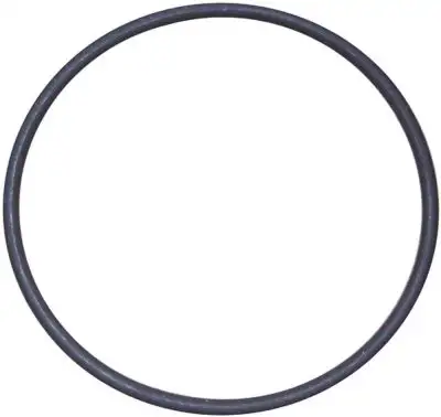 O-ring Viton Materialtjocklek 262mm ID ø 6317mm