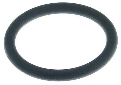 O-ring Viton Materialtjocklek 6mm ID ø 47mm