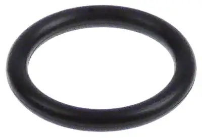O-ring till giltig T & S