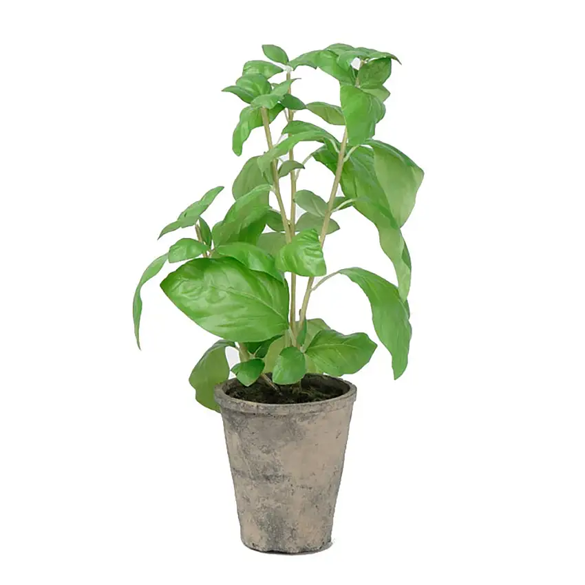 Konstväxt Fröken FräkenBasilika 38 cm Grön
