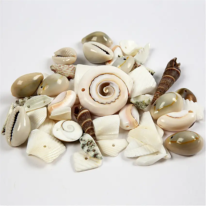 Strandsnäckor Creativ Company9-40 mm Hål 1-1,5 mm 120 g