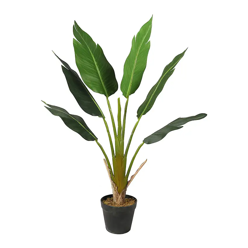 Konstväxt LykkeStrelitzia Tree