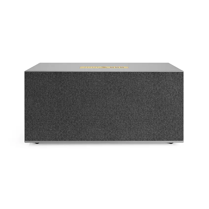 Högtalare AUDIO PROC20 MultiroomGrå