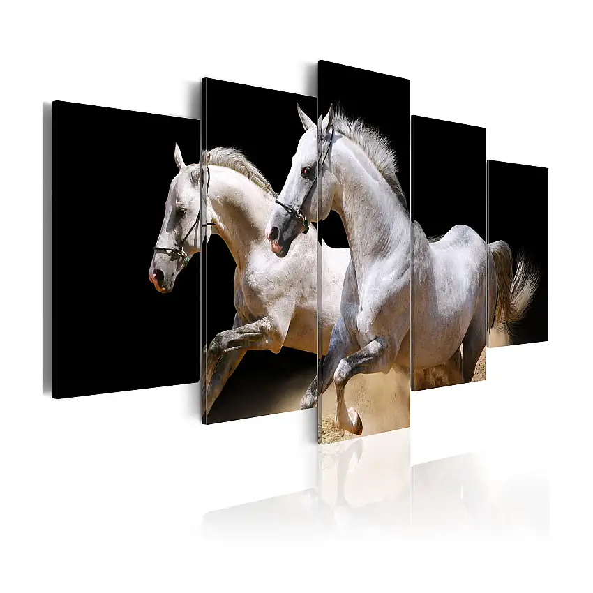 Tavla ArkiioGallop Freedom And Power100x50 cm
