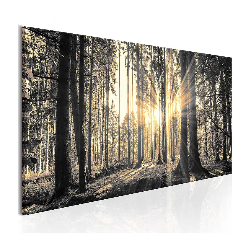 Tavla ArkiioForest Sun120x40 cm