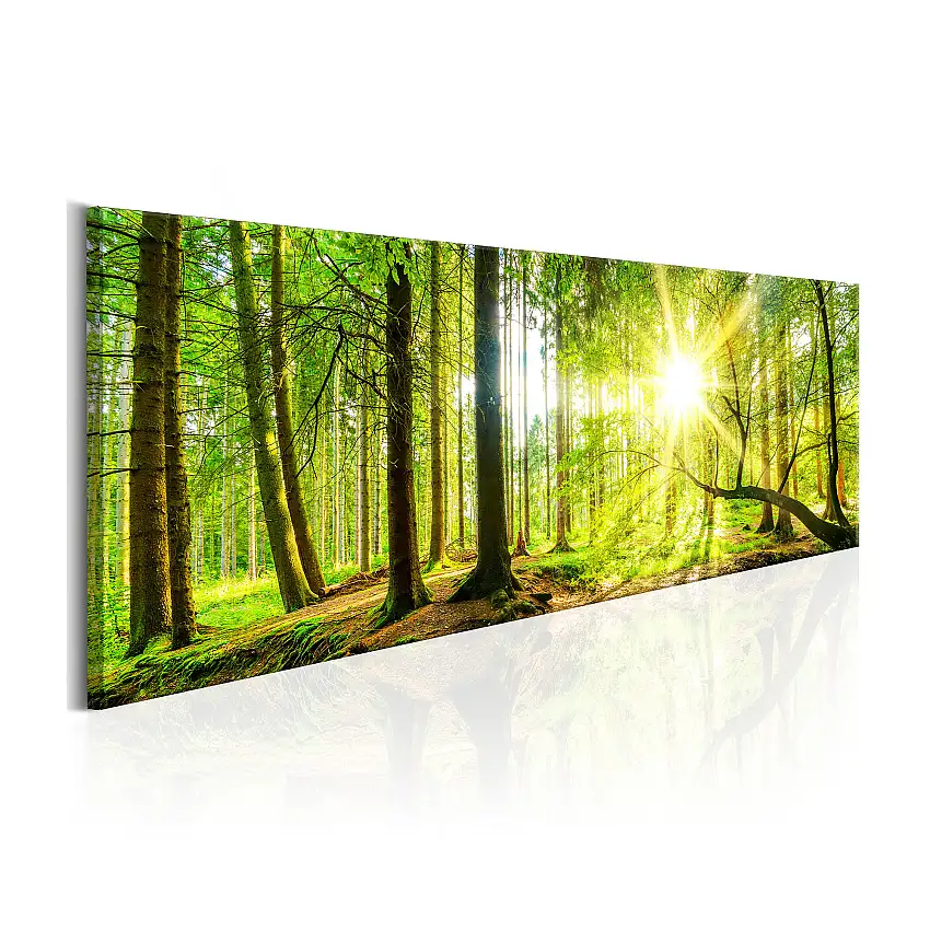 Tavla ArkiioMajestic Trees135x45 cm