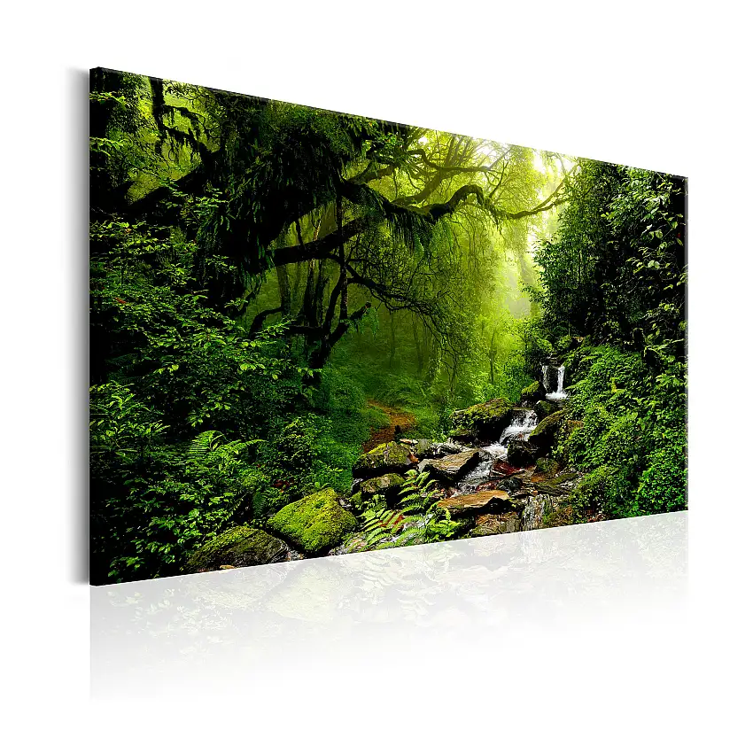 Tavla ArkiioWaterfall In The Forest