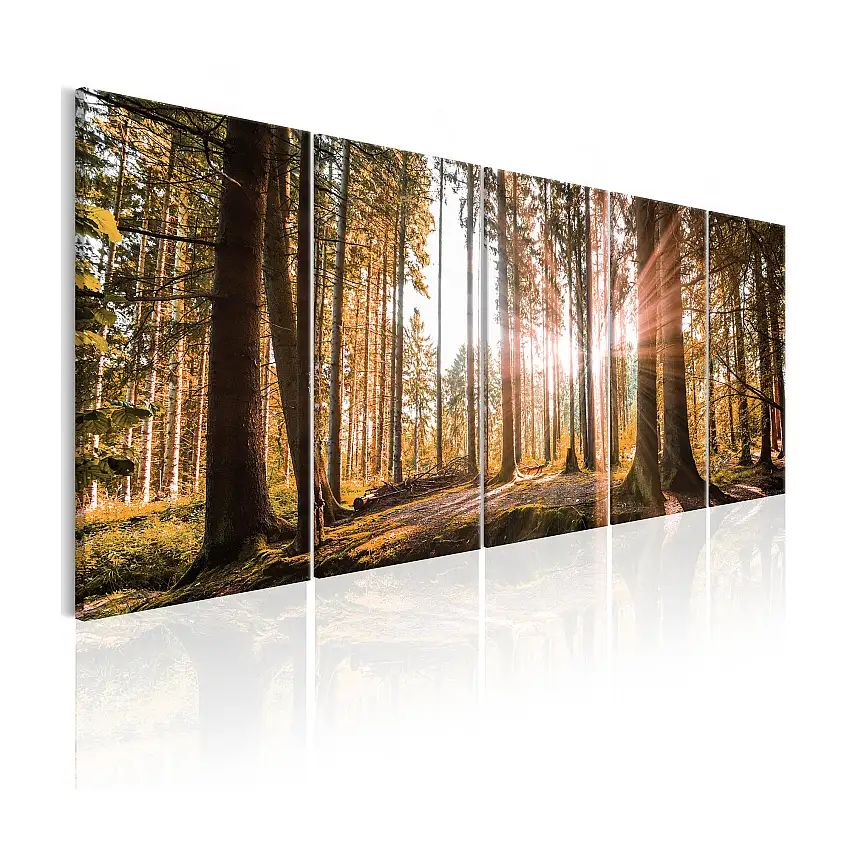Tavla ArkiioBeauty Of Nature200x80 cm
