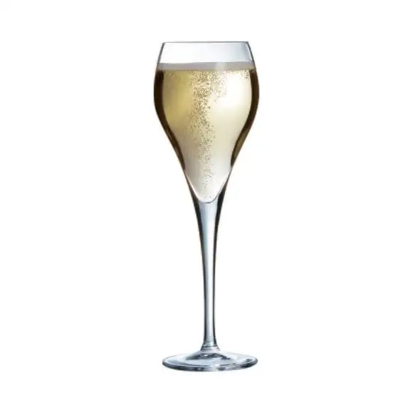 Champagneglas Brio 16cl Arc
