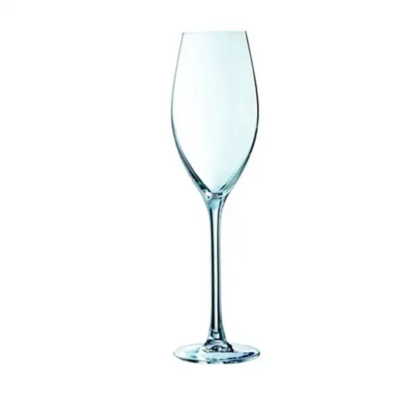 Champagneglas Grand Cepages 24cl Arc