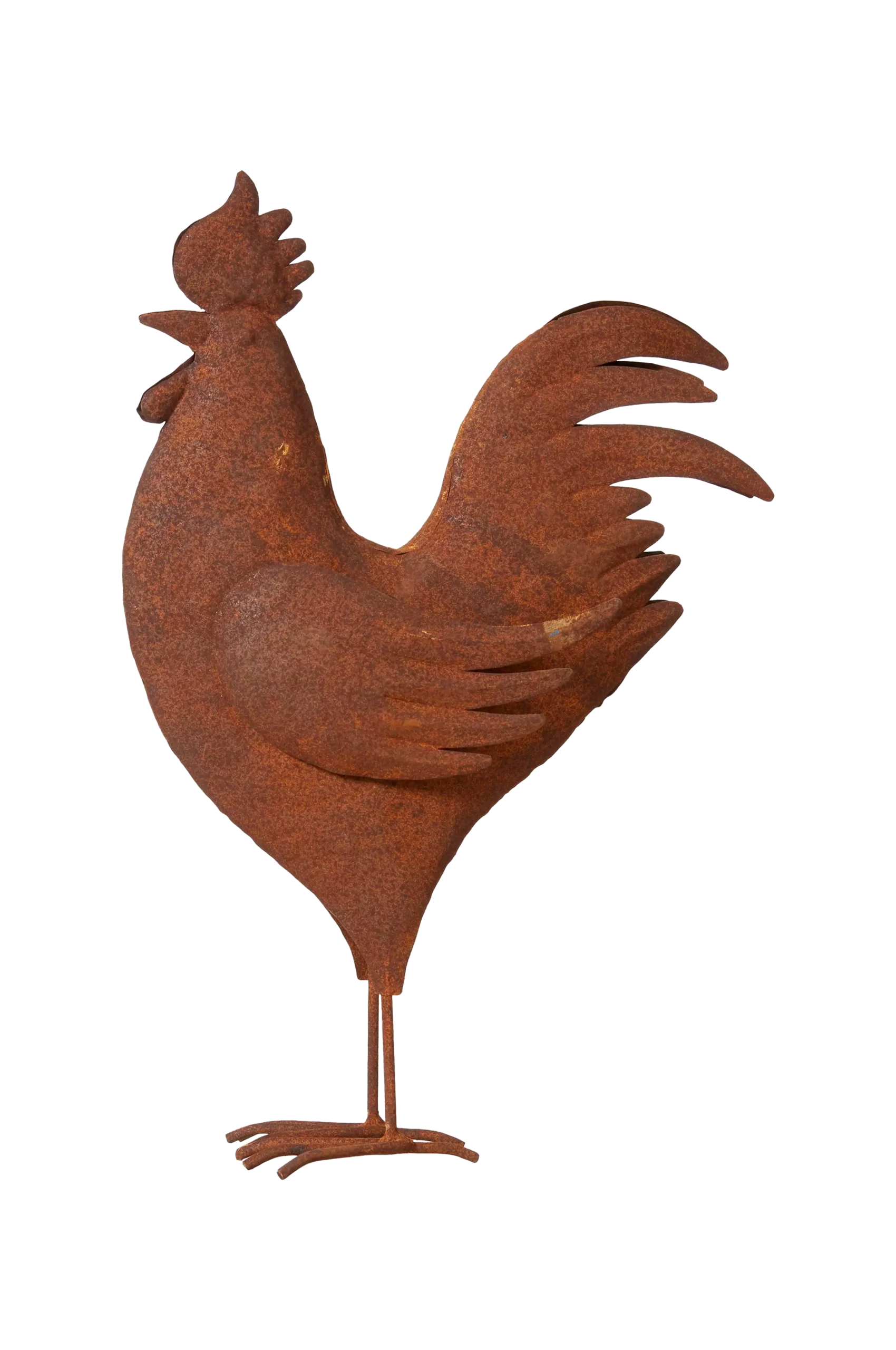 Rooster L