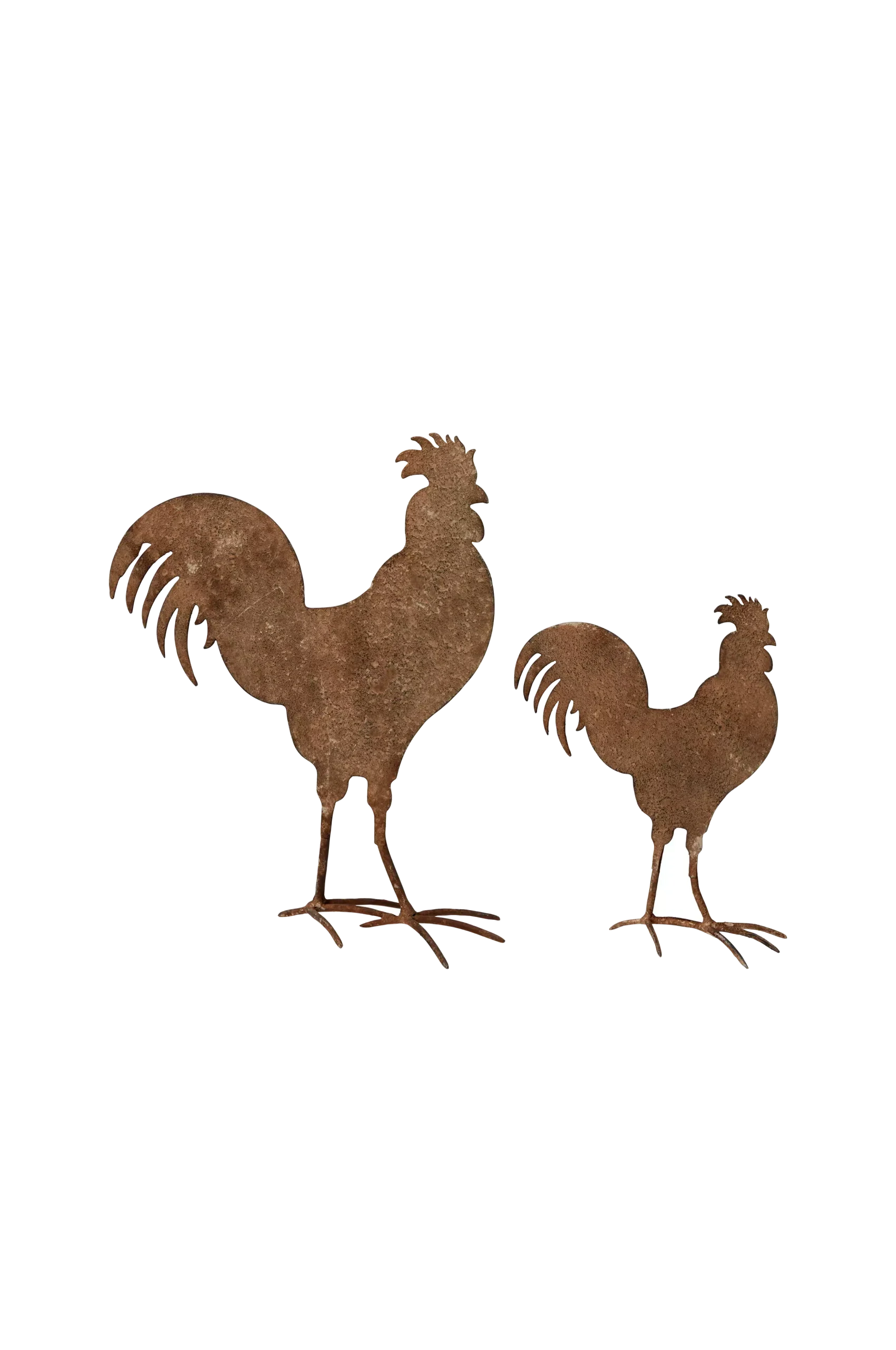 S/2 Rooster