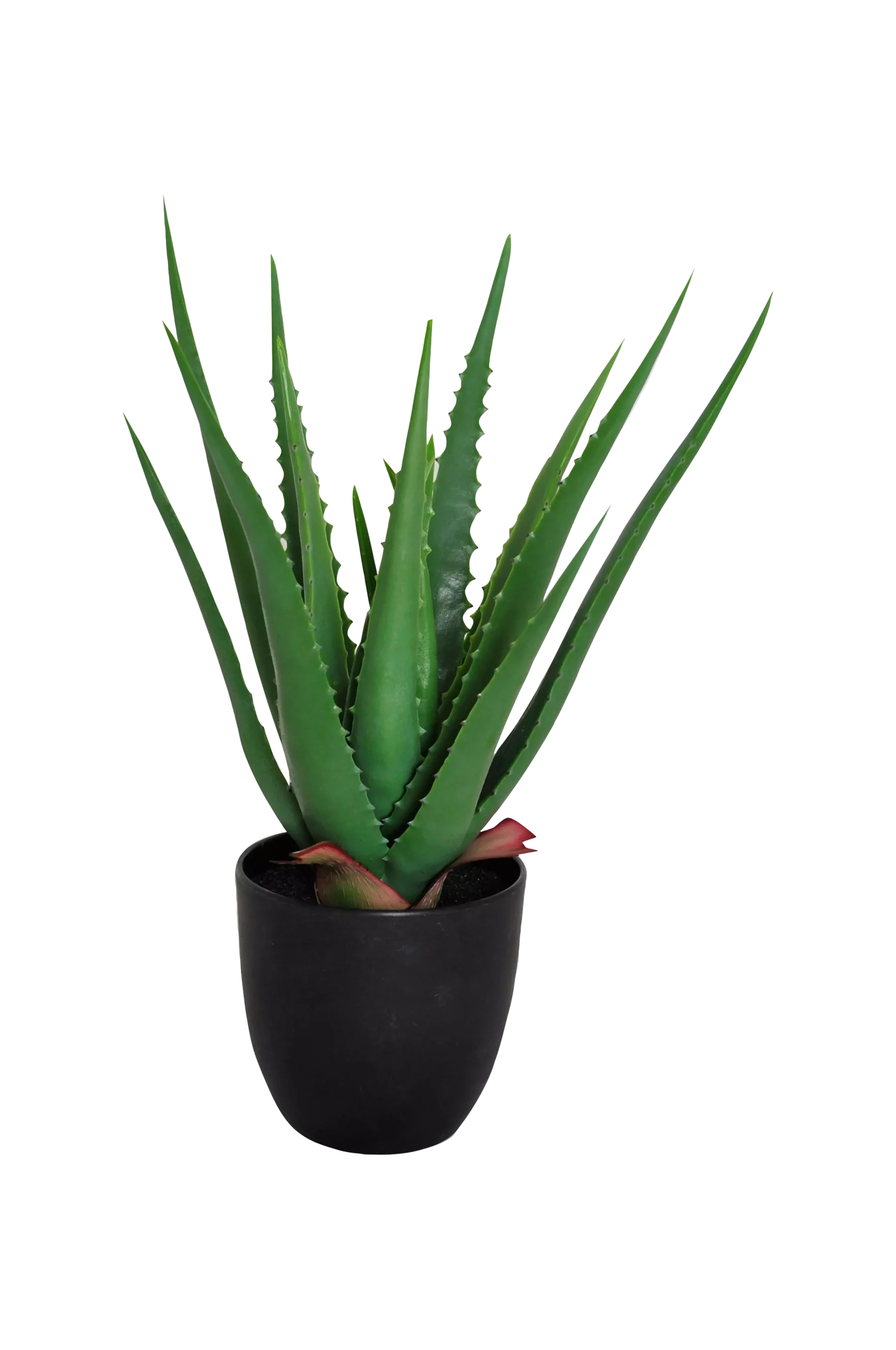 Konstväxt Viridis Aloe Vera