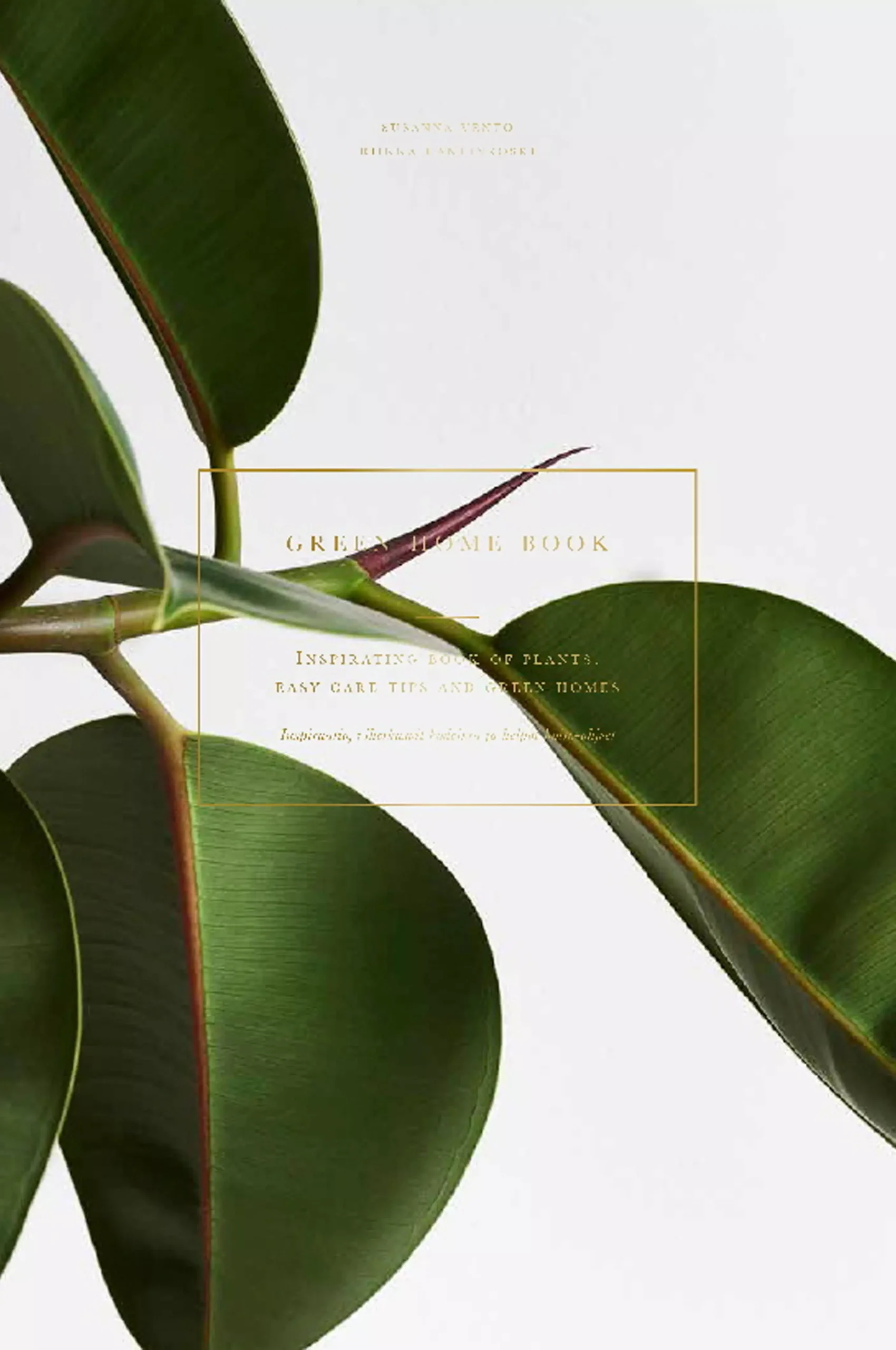 Coffee Table Book - Green Home Book