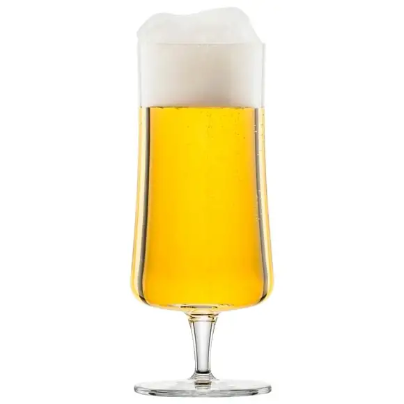 Ölglas Beer Basic 51,3cl Schott Zwiesel