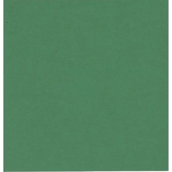 Pappersservett 2-lager 33x33 cm Grön 100 st